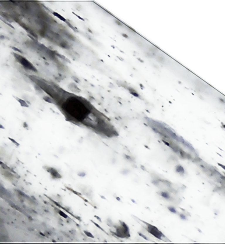 charcoal detox image