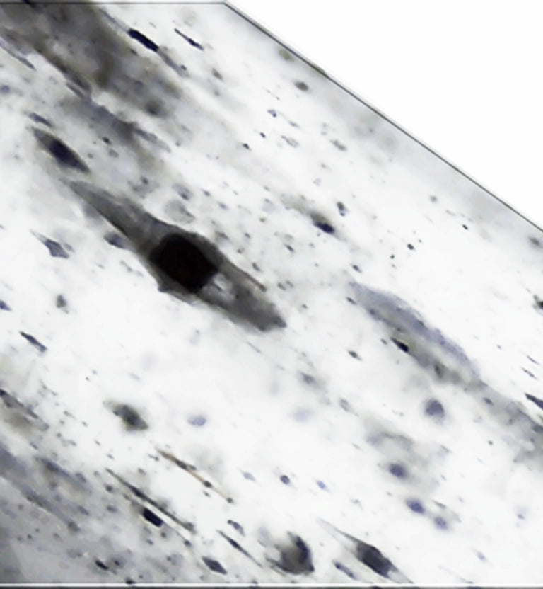 charcoal detox image