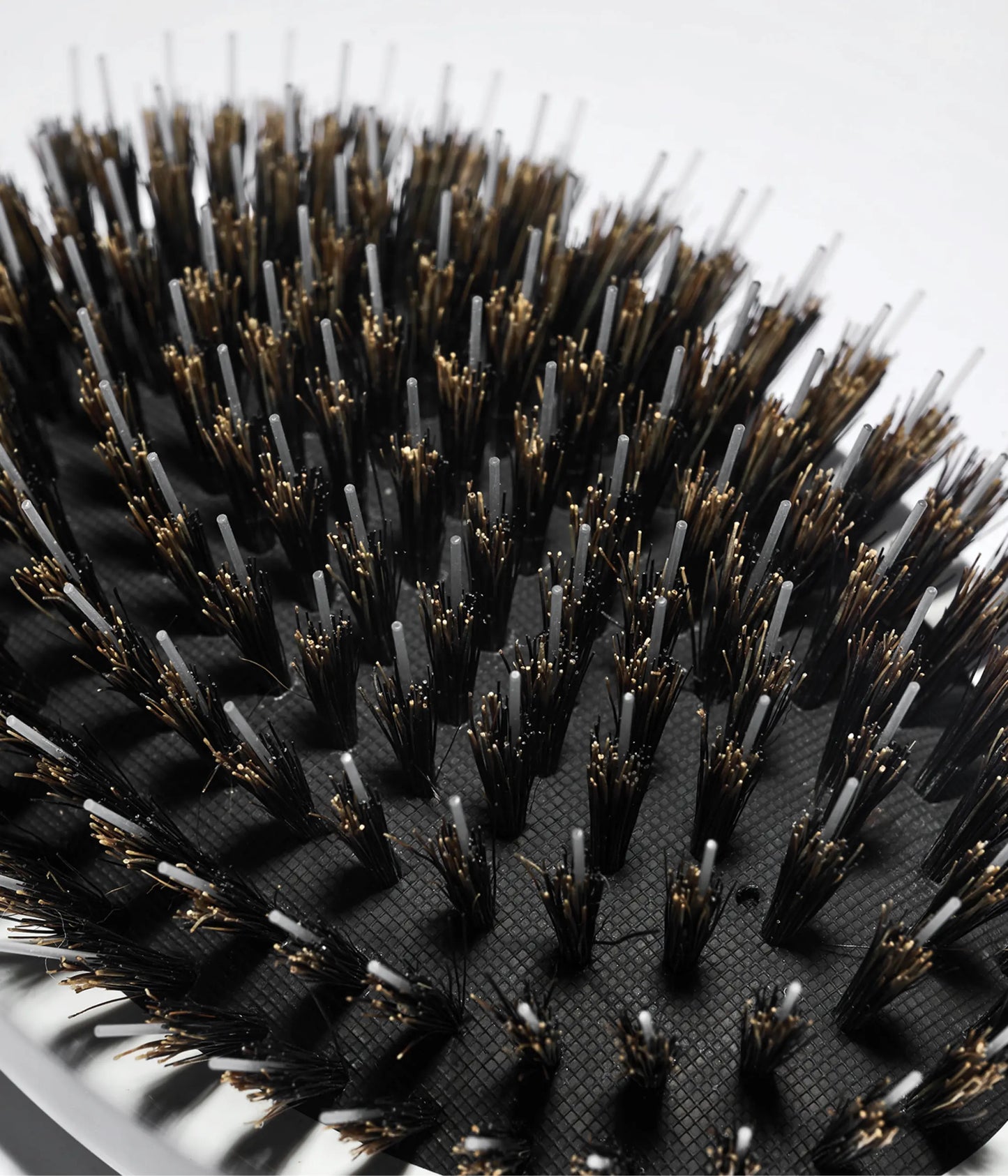 SmoothBoost™ GLOSS-INFUSION Natural Boar Hairbrush, Medium to Thick Hair