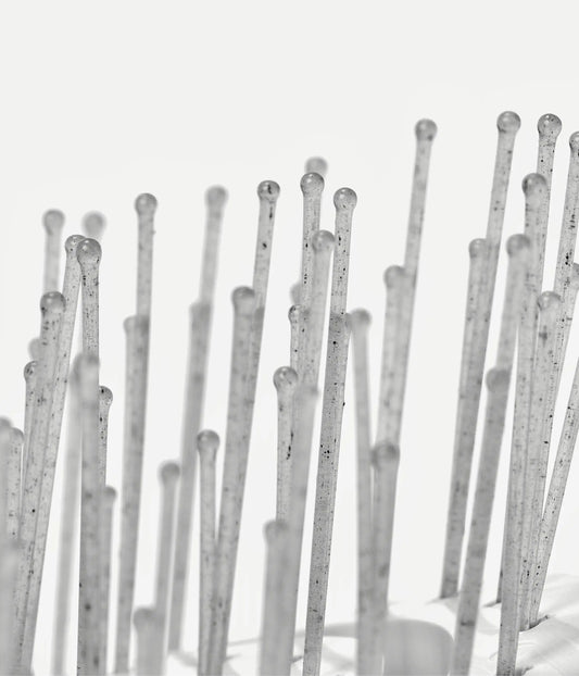 RootRestore™ Sensitive Scalp, Charcoal-Detox Hairbrush