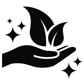 feature icon