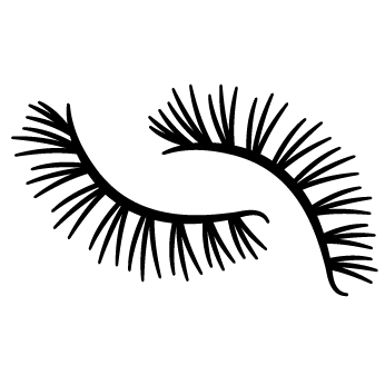 feature icon