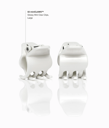 miniCLAWS™ Glossy Mini Claw Clips in Silver Fox, 6 Pcs