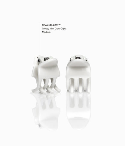 miniCLAWS™ Glossy Mini Claw Clips in Silver Fox, 6 Pcs