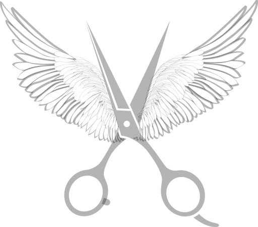 feature icon